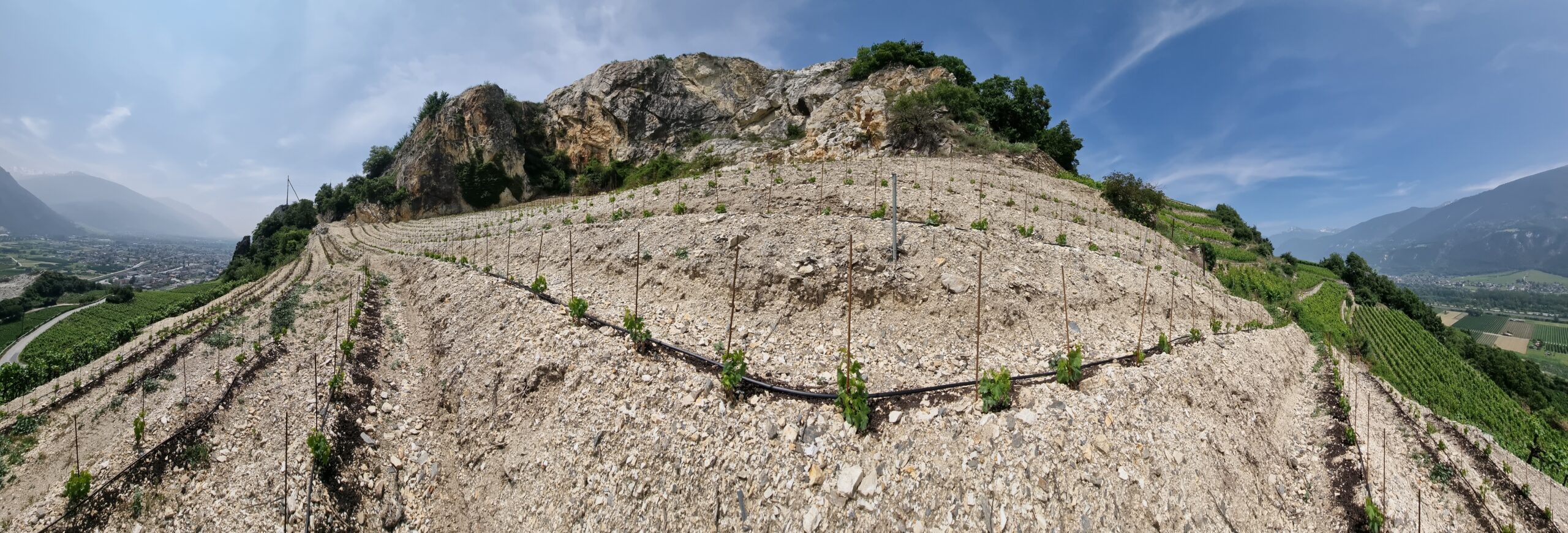 Vignes en terrasses Cellier St-Léonard dans le Valais avec vue sur la vallée et les montagnes