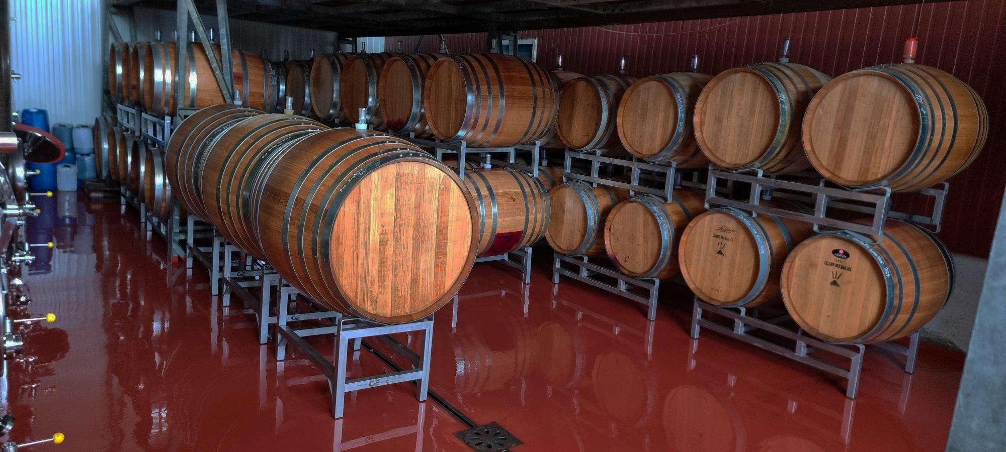 Cave à barriques du Cellier St-Léonard en Valais, où les vins reposent en fûts de chêne