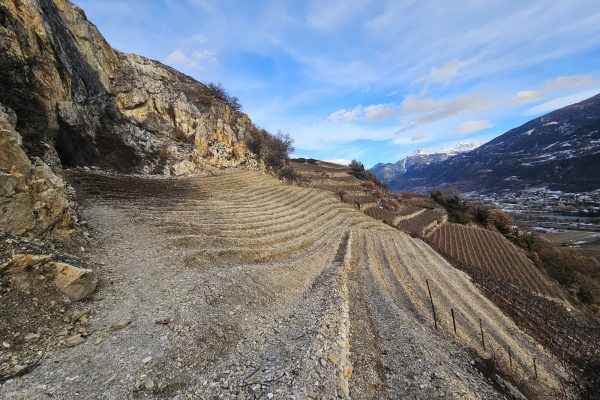 Grand Rec en terrasses du Cellier St-Léonard à Saint-Léonard en Valais